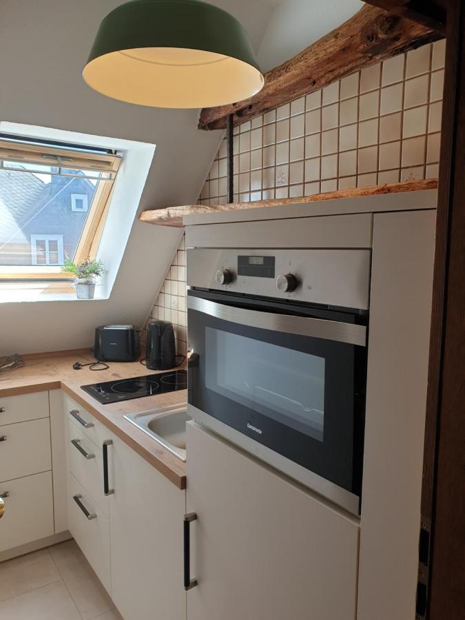 הלנברג Neu Gemuetliche Ferienhaus Mit 3 Ferienwohnungen "Max " , " Leonore " Und "Beatrice" מראה חיצוני תמונה